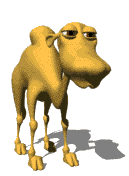 camel1.gif
