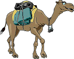 pcamel.gif