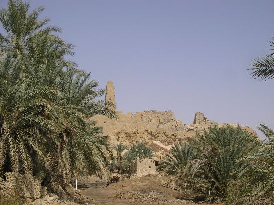 18-siwa-orakel.JPG