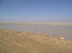 Regen hat die Sahara in ene Seenlandschaft verwandelt
