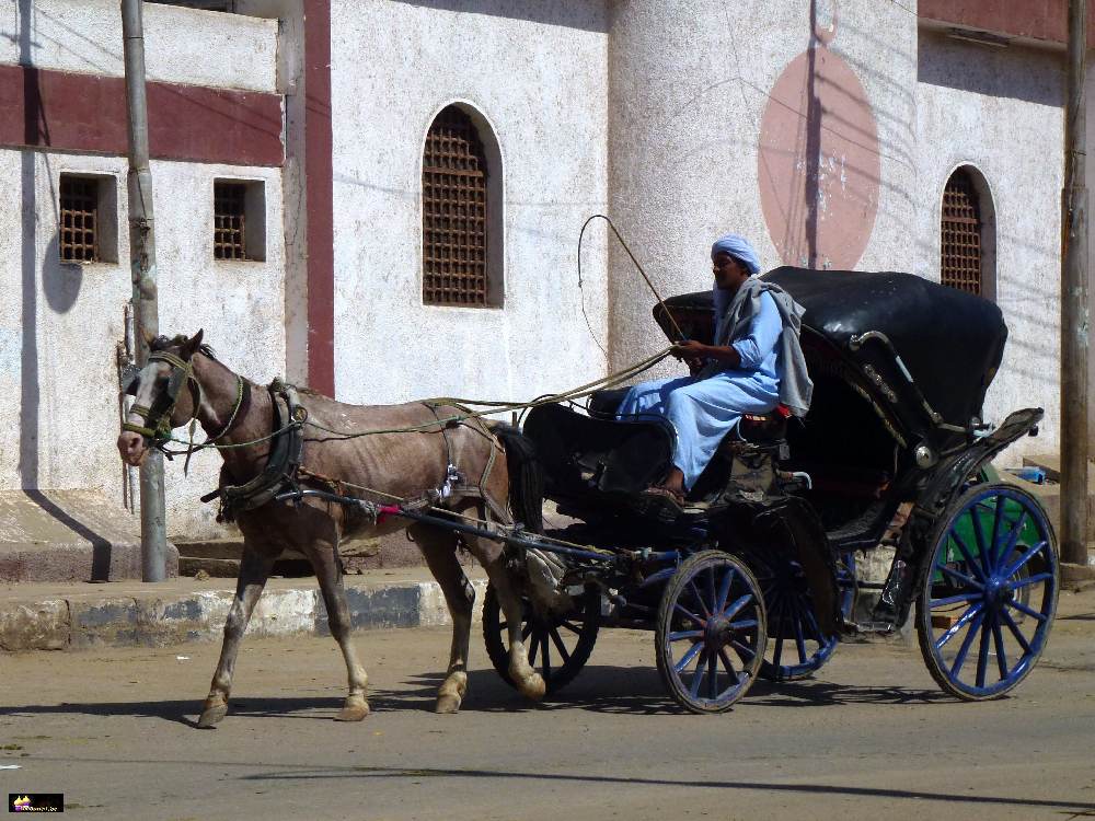 24_Edfu_Kalesch_P1110659.jpg